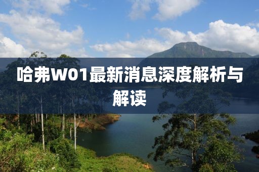 哈弗W01最新消息深度解析與解讀