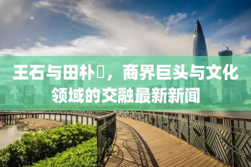 王石與田樸琤，商界巨頭與文化領(lǐng)域的交融最新新聞