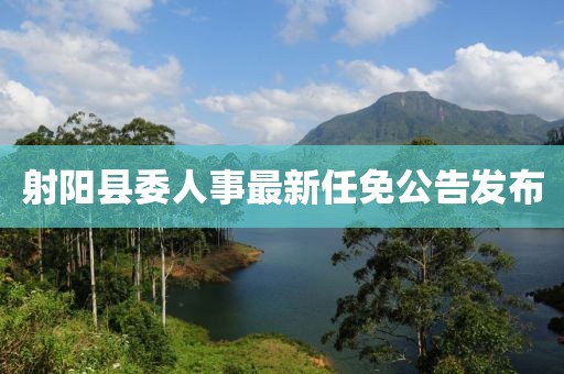 射陽縣委人事最新任免公告發(fā)布