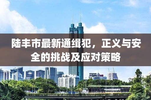 陸豐市最新通緝犯，正義與安全的挑戰(zhàn)及應(yīng)對策略