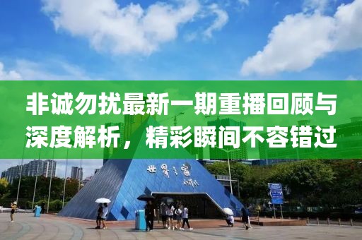 非誠(chéng)勿擾最新一期重播回顧與深度解析，精彩瞬間不容錯(cuò)過(guò)