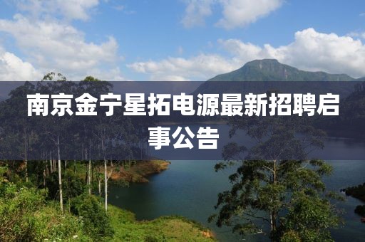 巧了我就是酷 第11頁