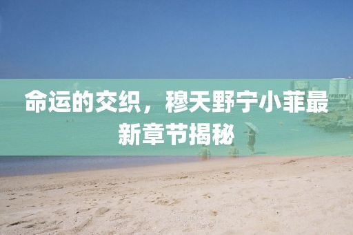 命運(yùn)的交織，穆天野寧小菲最新章節(jié)揭秘