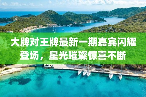 大牌對(duì)王牌最新一期嘉賓閃耀登場(chǎng)，星光璀璨驚喜不斷