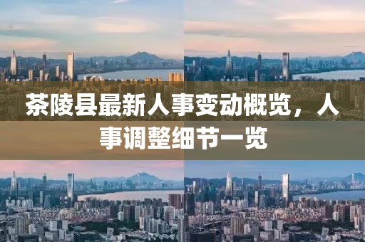茶陵縣最新人事變動概覽，人事調(diào)整細(xì)節(jié)一覽
