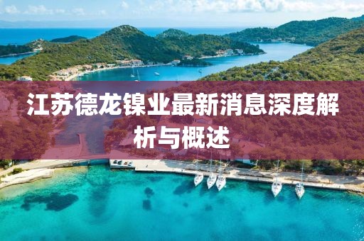 江蘇德龍鎳業(yè)最新消息深度解析與概述