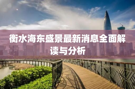 衡水海東盛景最新消息全面解讀與分析