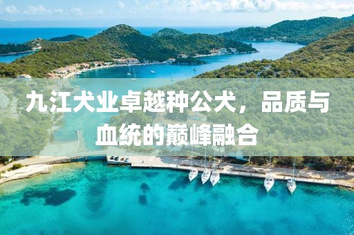 九江犬業(yè)卓越種公犬，品質(zhì)與血統(tǒng)的巔峰融合