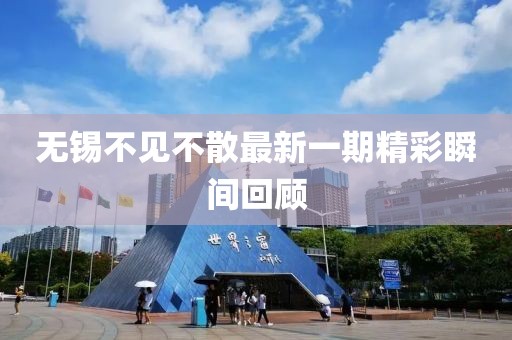 無錫不見不散最新一期精彩瞬間回顧