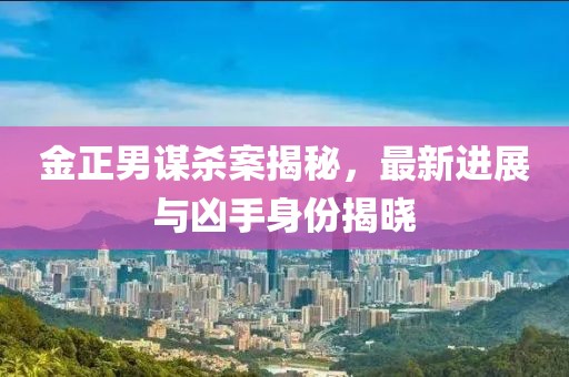金正男謀殺案揭秘，最新進(jìn)展與兇手身份揭曉