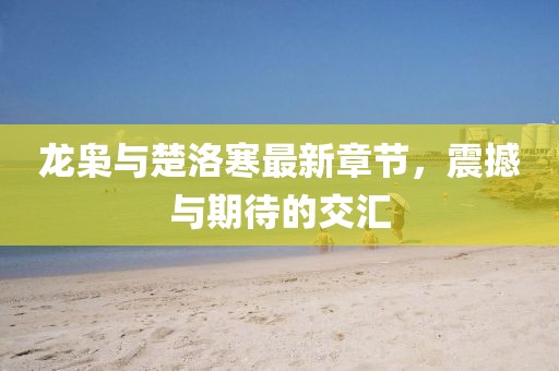 龍梟與楚洛寒最新章節(jié)，震撼與期待的交匯