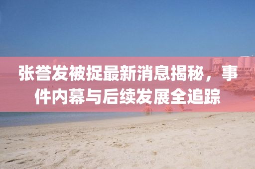 張譽發(fā)被捉最新消息揭秘，事件內(nèi)幕與后續(xù)發(fā)展全追蹤
