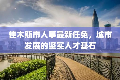佳木斯市人事最新任免，城市發(fā)展的堅實人才基石