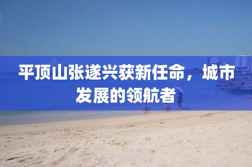 平頂山張遂興獲新任命，城市發(fā)展的領(lǐng)航者