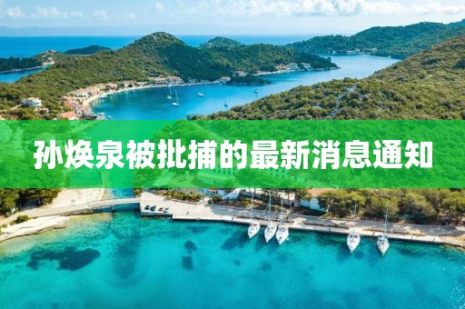 孫煥泉被批捕的最新消息通知