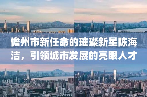 儋州市新任命的璀璨新星陳海潔，引領(lǐng)城市發(fā)展的亮眼人才