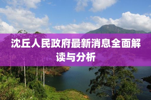 沈丘人民政府最新消息全面解讀與分析