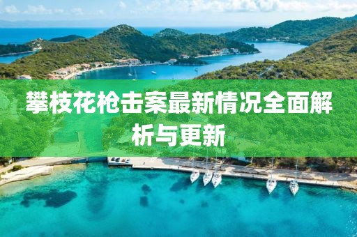 攀枝花槍擊案最新情況全面解析與更新