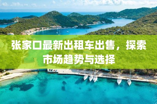 張家口最新出租車出售，探索市場趨勢與選擇