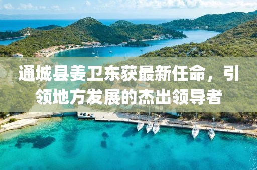 通城縣姜衛(wèi)東獲最新任命，引領(lǐng)地方發(fā)展的杰出領(lǐng)導(dǎo)者