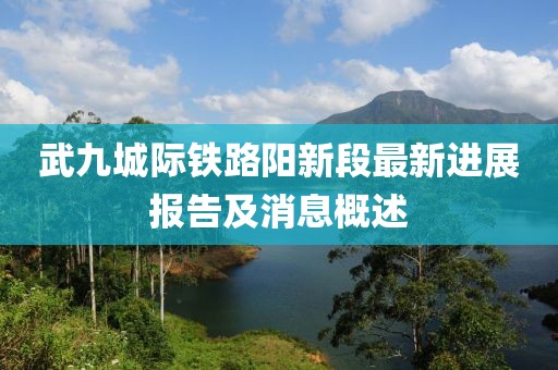 武九城際鐵路陽新段最新進(jìn)展報告及消息概述