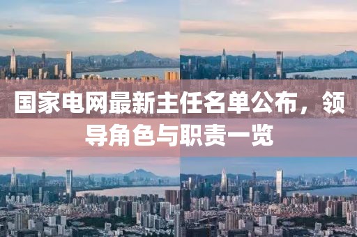 國家電網最新主任名單公布，領導角色與職責一覽