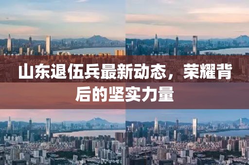 山東退伍兵最新動態(tài)，榮耀背后的堅實力量