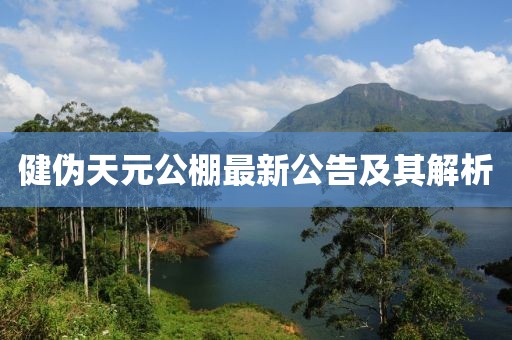 健偽天元公棚最新公告及其解析