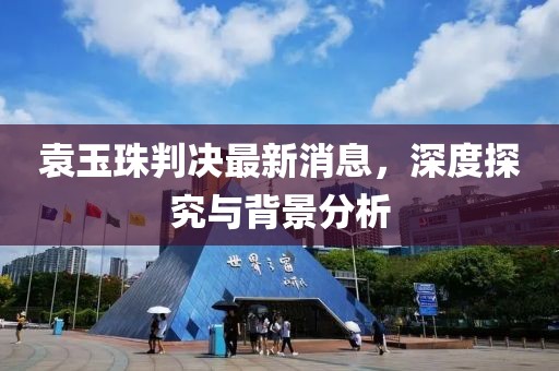袁玉珠判決最新消息，深度探究與背景分析