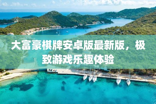 大富豪棋牌安卓版最新版，極致游戲樂趣體驗