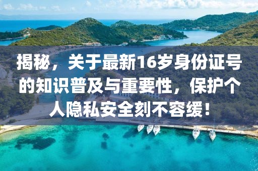 揭秘，關(guān)于最新16歲身份證號(hào)的知識(shí)普及與重要性，保護(hù)個(gè)人隱私安全刻不容緩！