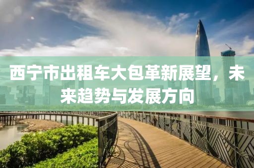 西寧市出租車大包革新展望，未來趨勢(shì)與發(fā)展方向