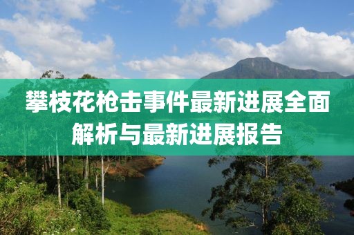 攀枝花槍擊事件最新進(jìn)展全面解析與最新進(jìn)展報(bào)告