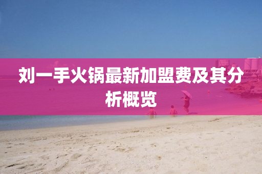 劉一手火鍋?zhàn)钚录用速M(fèi)及其分析概覽