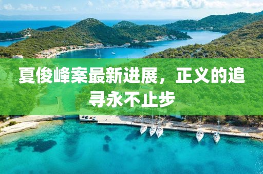 夏俊峰案最新進展，正義的追尋永不止步