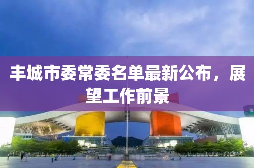 豐城市委常委名單最新公布，展望工作前景