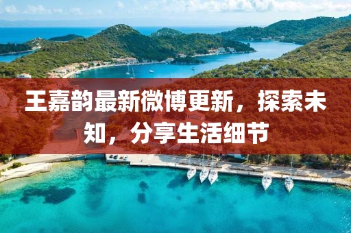 王嘉韻最新微博更新，探索未知，分享生活細(xì)節(jié)