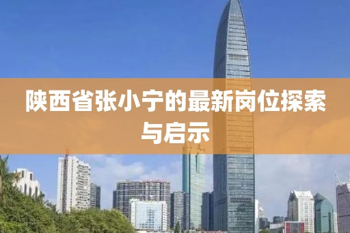 陜西省張小寧的最新崗位探索與啟示