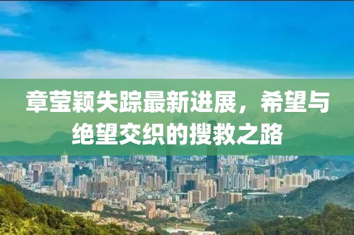 章瑩穎失蹤最新進(jìn)展，希望與絕望交織的搜救之路