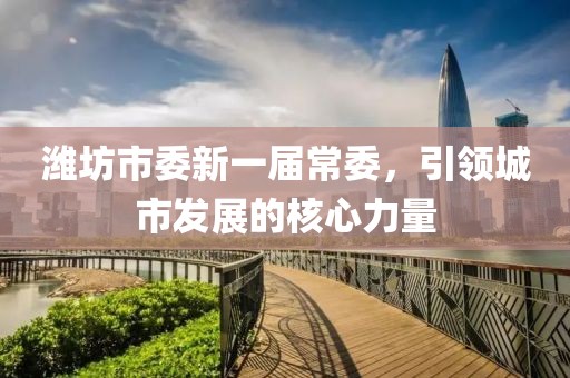 濰坊市委新一屆常委，引領(lǐng)城市發(fā)展的核心力量