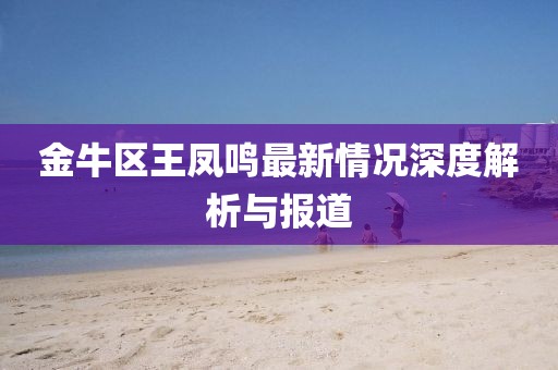金牛區(qū)王鳳鳴最新情況深度解析與報道