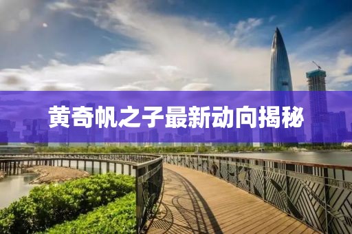 黃奇帆之子最新動(dòng)向揭秘