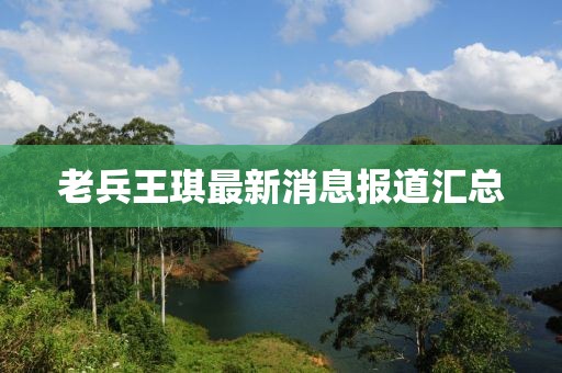 老兵王琪最新消息報(bào)道匯總