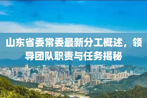 山東省委常委最新分工概述，領(lǐng)導(dǎo)團(tuán)隊(duì)職責(zé)與任務(wù)揭秘
