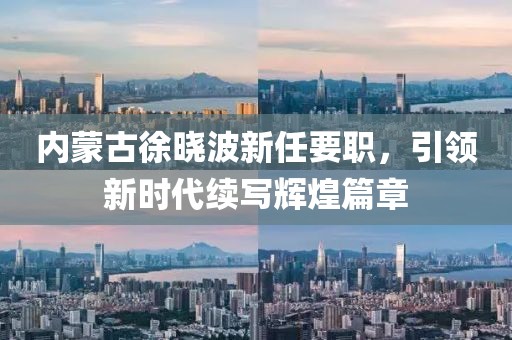 內(nèi)蒙古徐曉波新任要職，引領(lǐng)新時(shí)代續(xù)寫(xiě)輝煌篇章