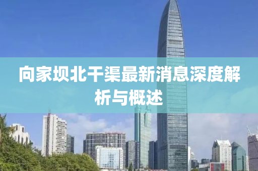 向家壩北干渠最新消息深度解析與概述