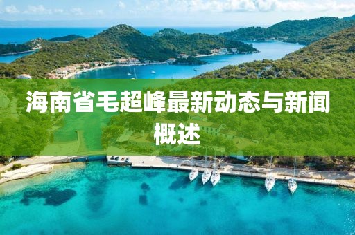海南省毛超峰最新動態(tài)與新聞概述