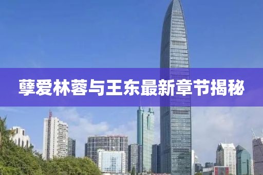 孽愛林蓉與王東最新章節(jié)揭秘