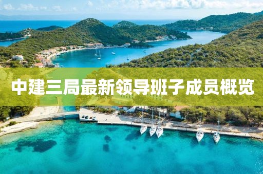 中建三局最新領(lǐng)導(dǎo)班子成員概覽