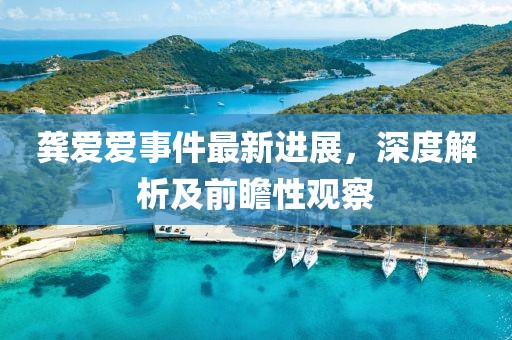 龔愛愛事件最新進(jìn)展，深度解析及前瞻性觀察
